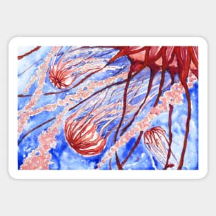 The Wonderful World of Jellyfish Sticker